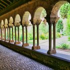 Cloître