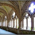 CLOÏTRE de l'Abbaye de La Chaise Dieu .