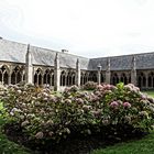 Cloître Tréguier