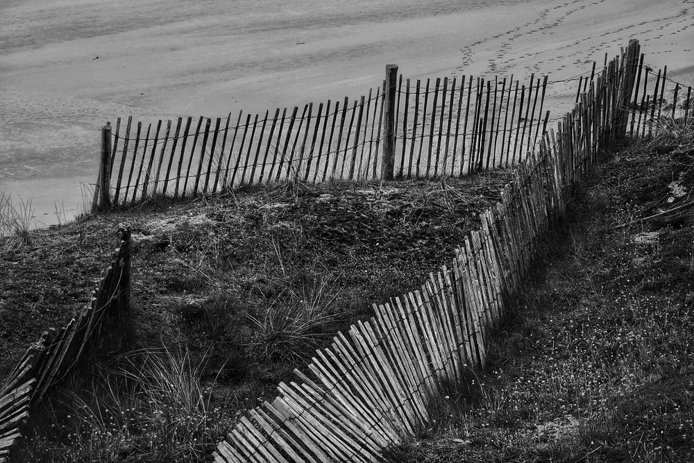 Clôtures et les dunes (2)