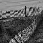 Clôtures et les dunes (2)