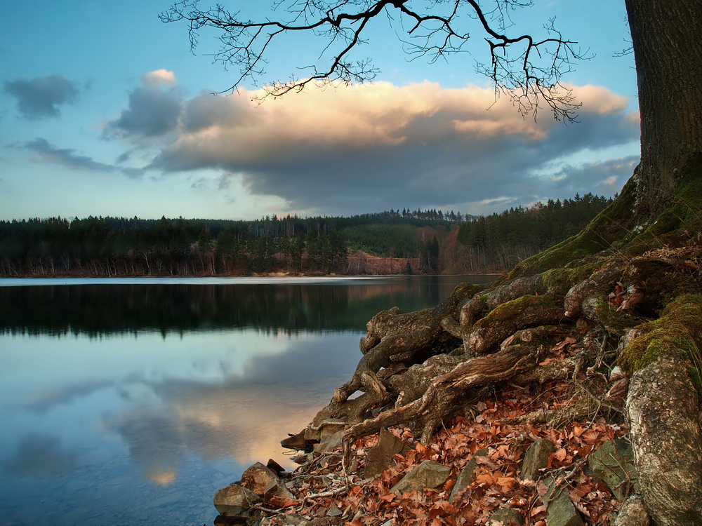 cloud von Frank Parakenings 