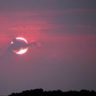 Cloud Creature Chasing the Sun