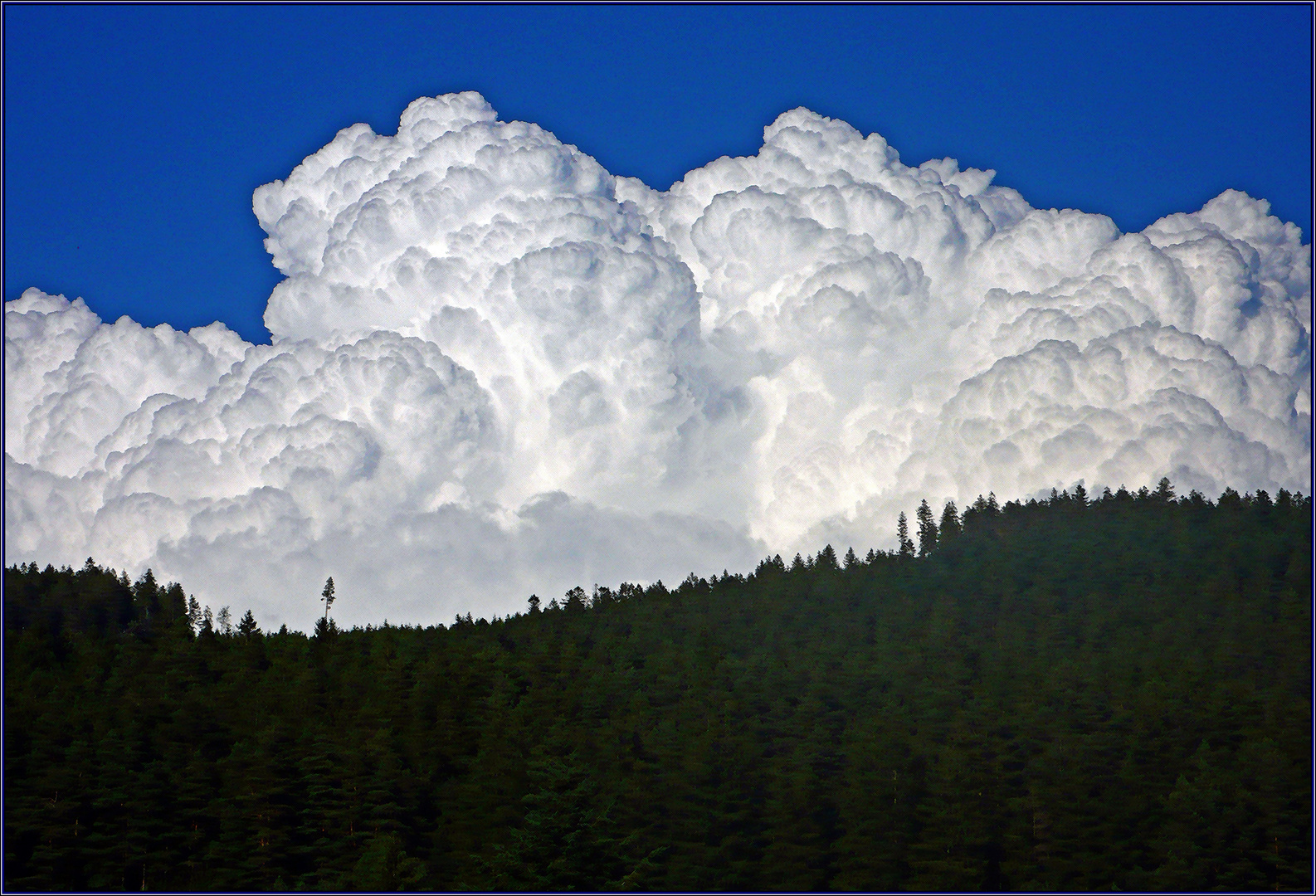 Cloud-cuckoo-land