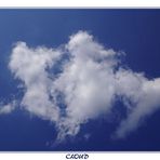 Cloud