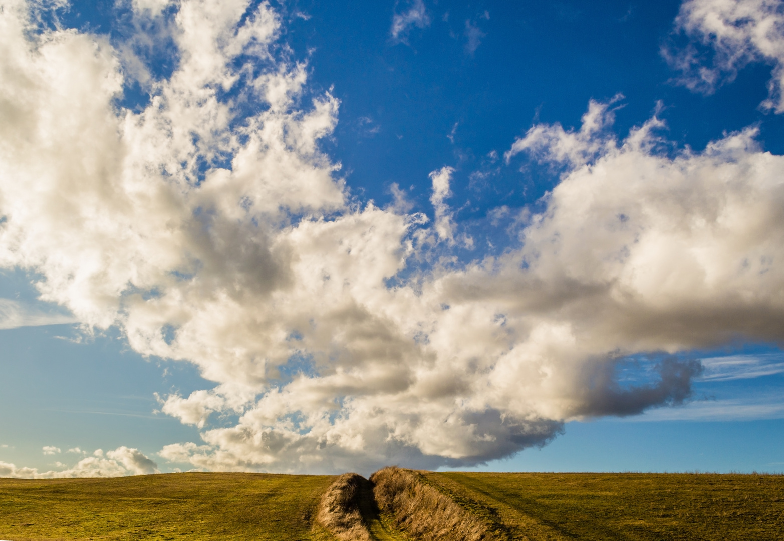 Cloud Field