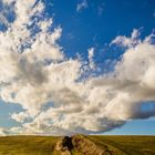 Cloud Field