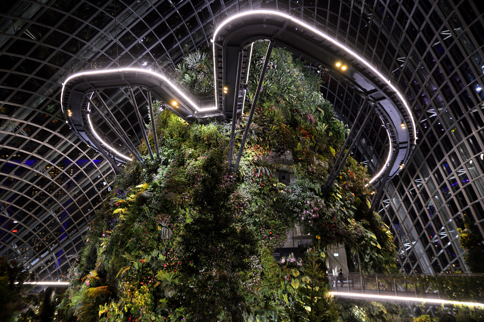 Cloud Forest - Gardens by the Bay, Singapore