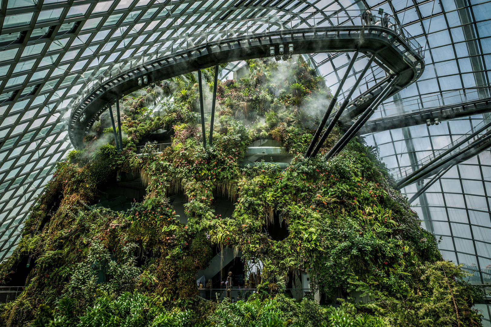 Cloud Forrest Singapore