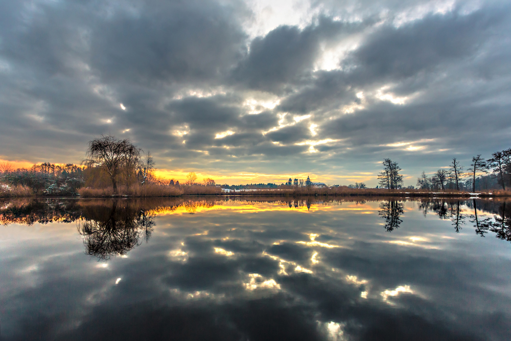 Cloud mirror