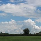 Cloud Panorama