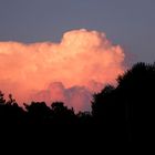 Cloud reflecting sunset