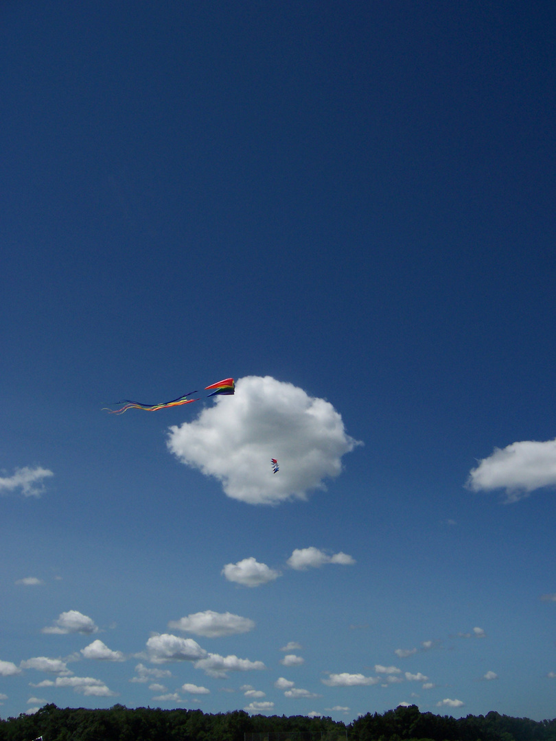 Cloud walks Kite