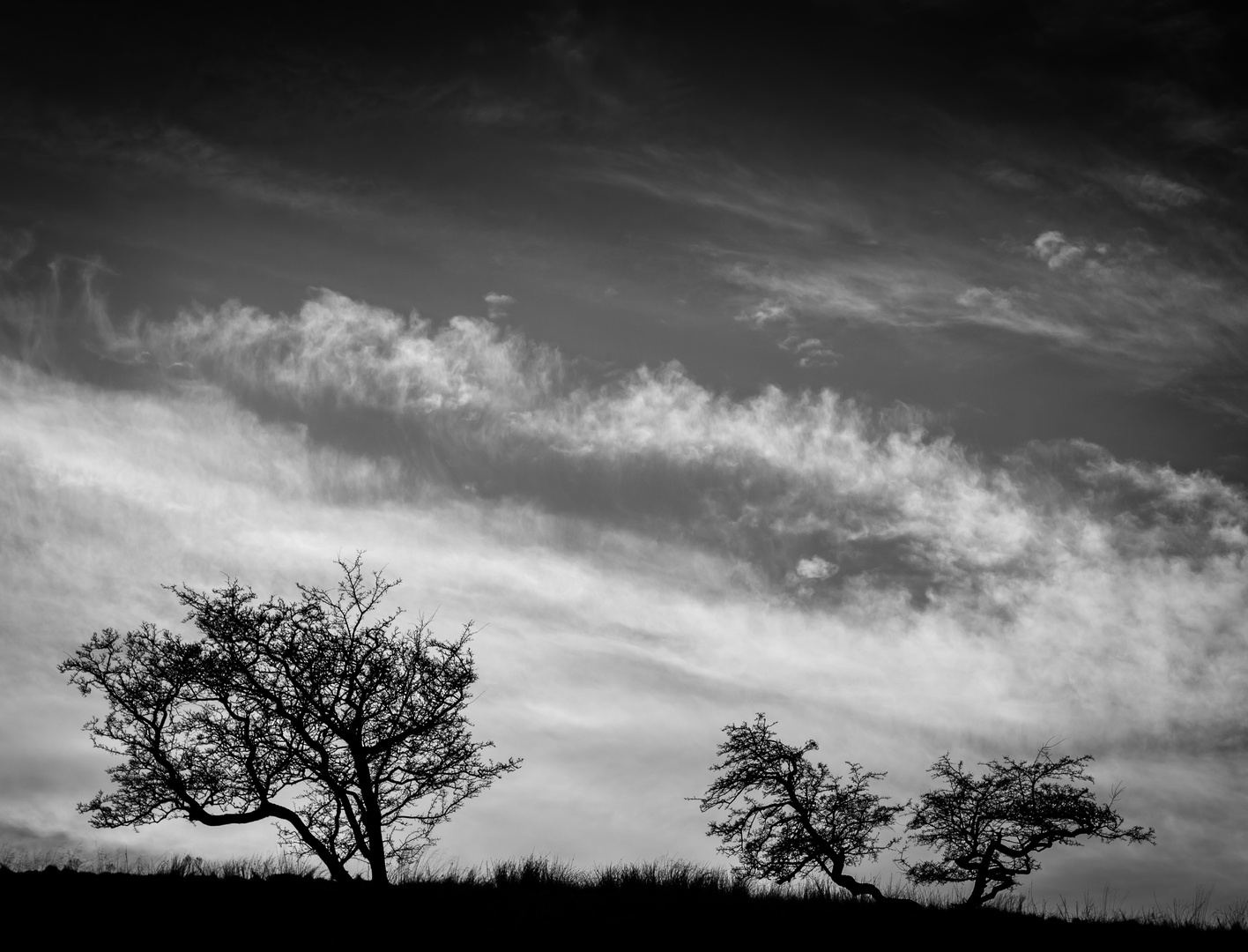 'Cloud Watching'