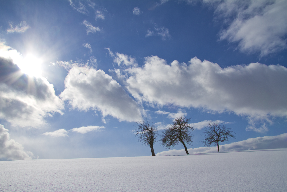 Cloudbusting -- I still dream of...