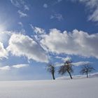 Cloudbusting -- I still dream of...