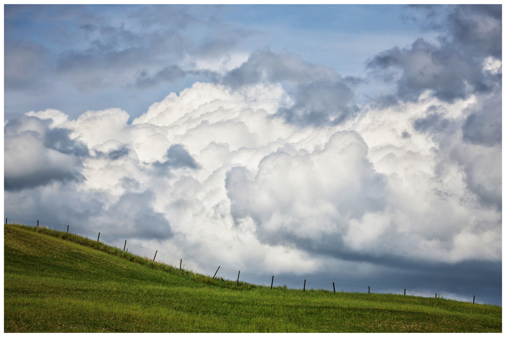 clouded grassland