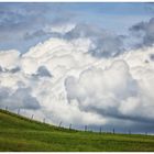 clouded grassland