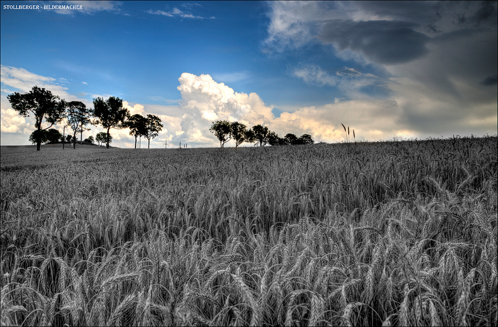 Clouds....