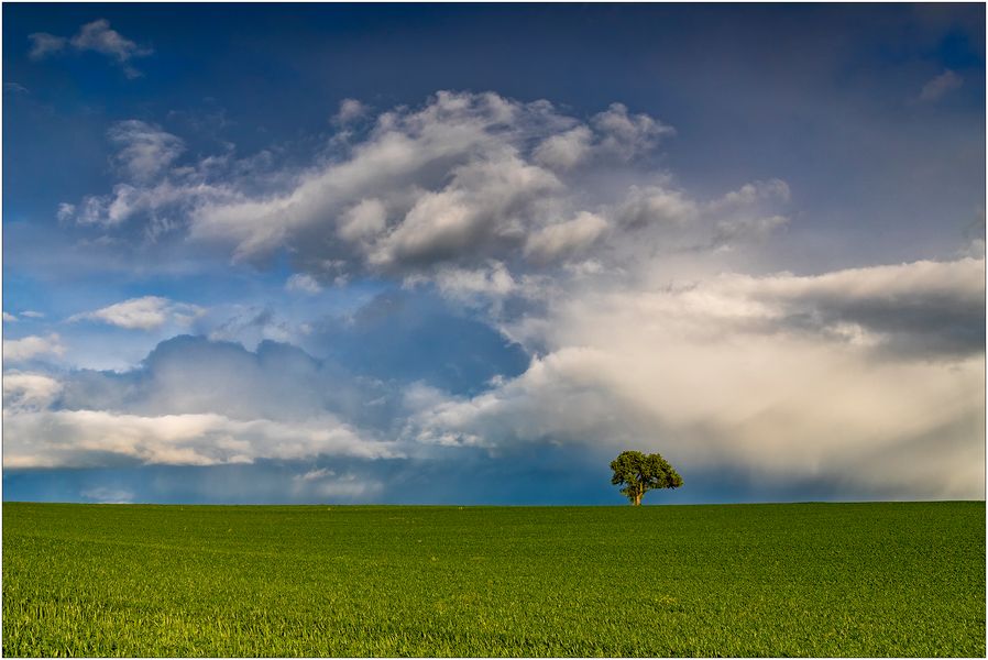 "Clouds"