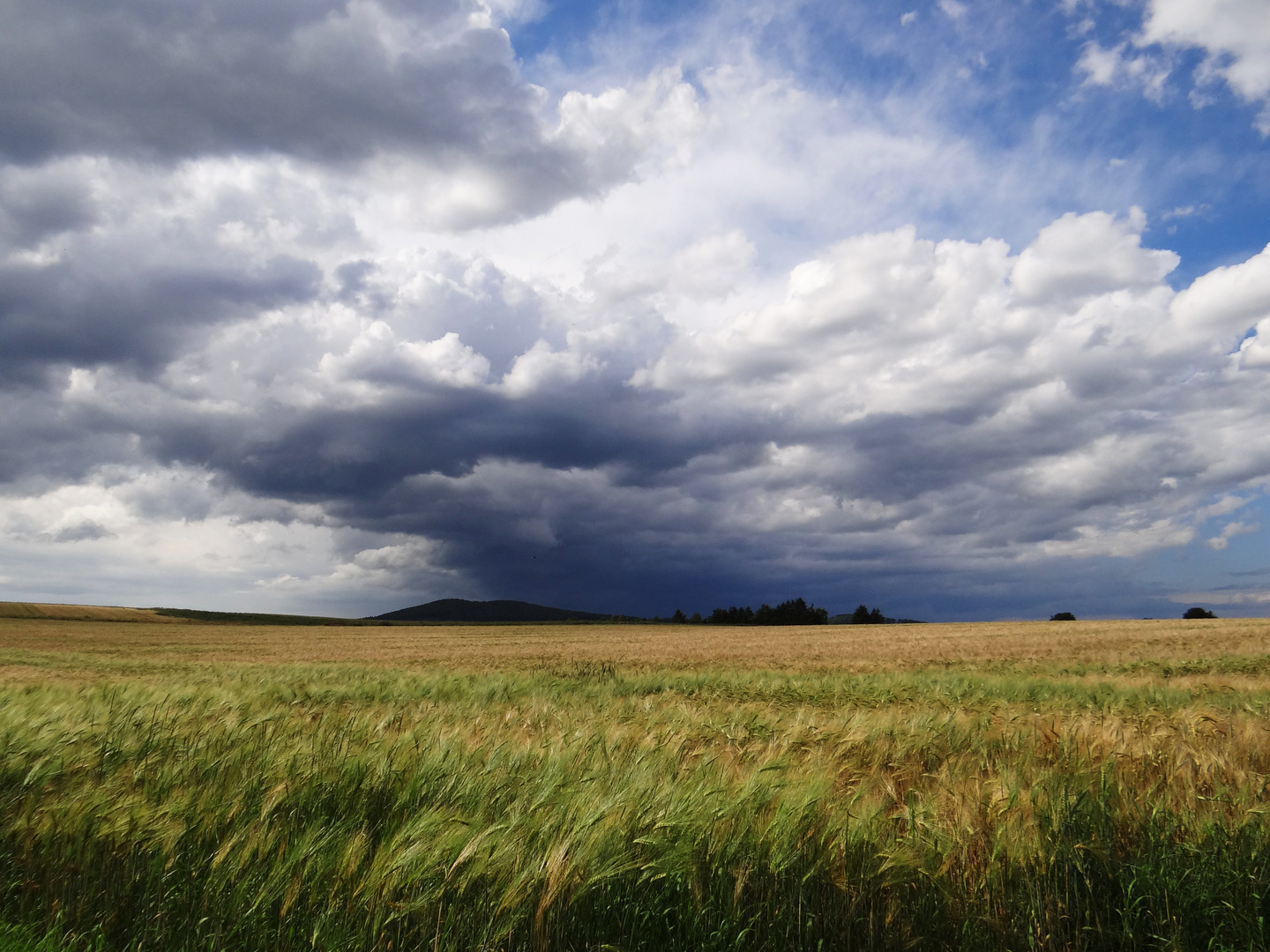 Clouds