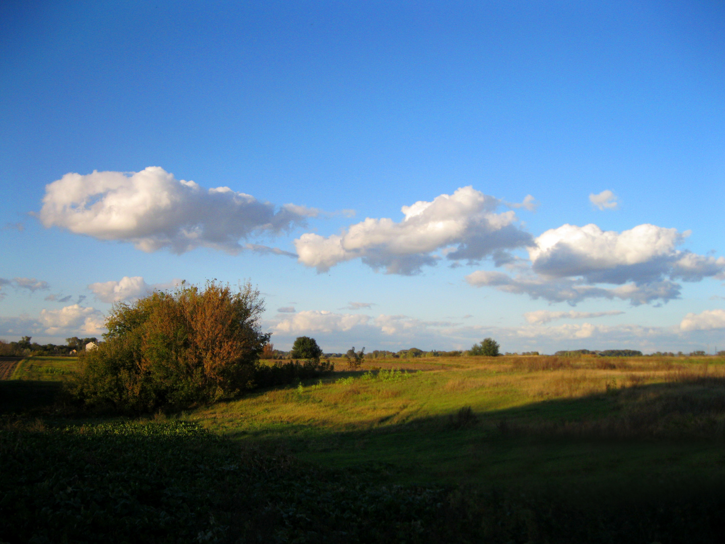 Clouds