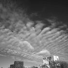 Clouds above Utrecht science park 