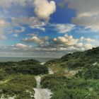 Clouds and Bushes