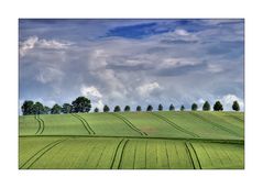 [  clouds and fields  ]