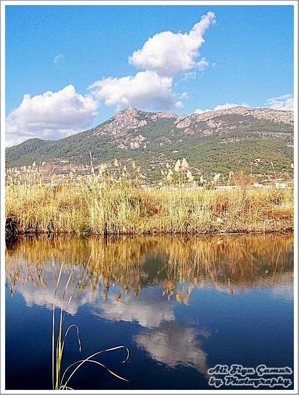 Clouds and Reeds