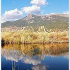 Clouds and Reeds