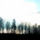 clouds at low altitude