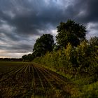 Clouds At Sunset