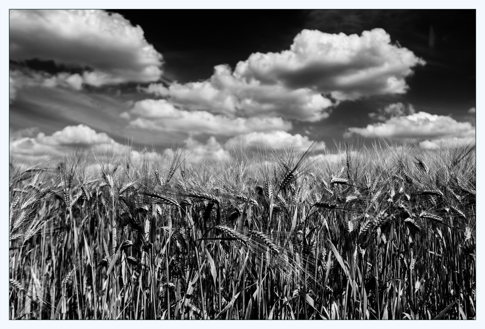 -- clouds & grain --