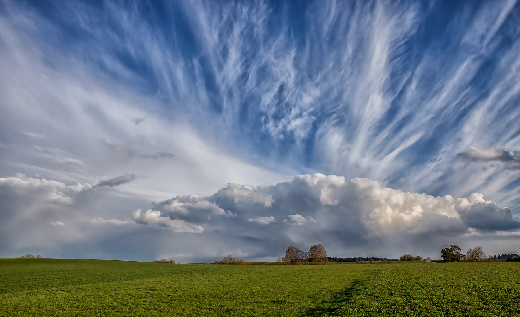 Clouds in Green Winter