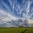 Clouds in Green Winter