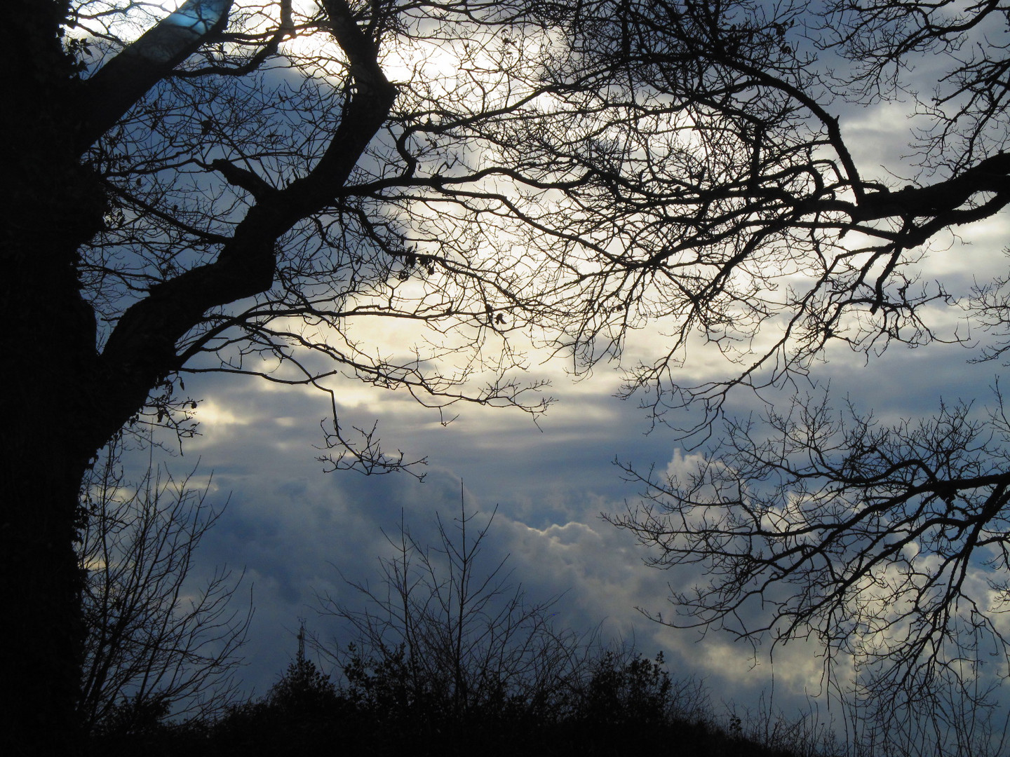 Clouds in North Wyke (UK)