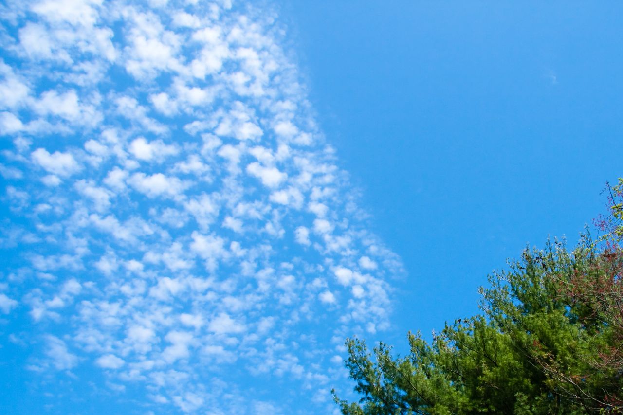 Clouds in the driveway