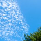 Clouds in the driveway