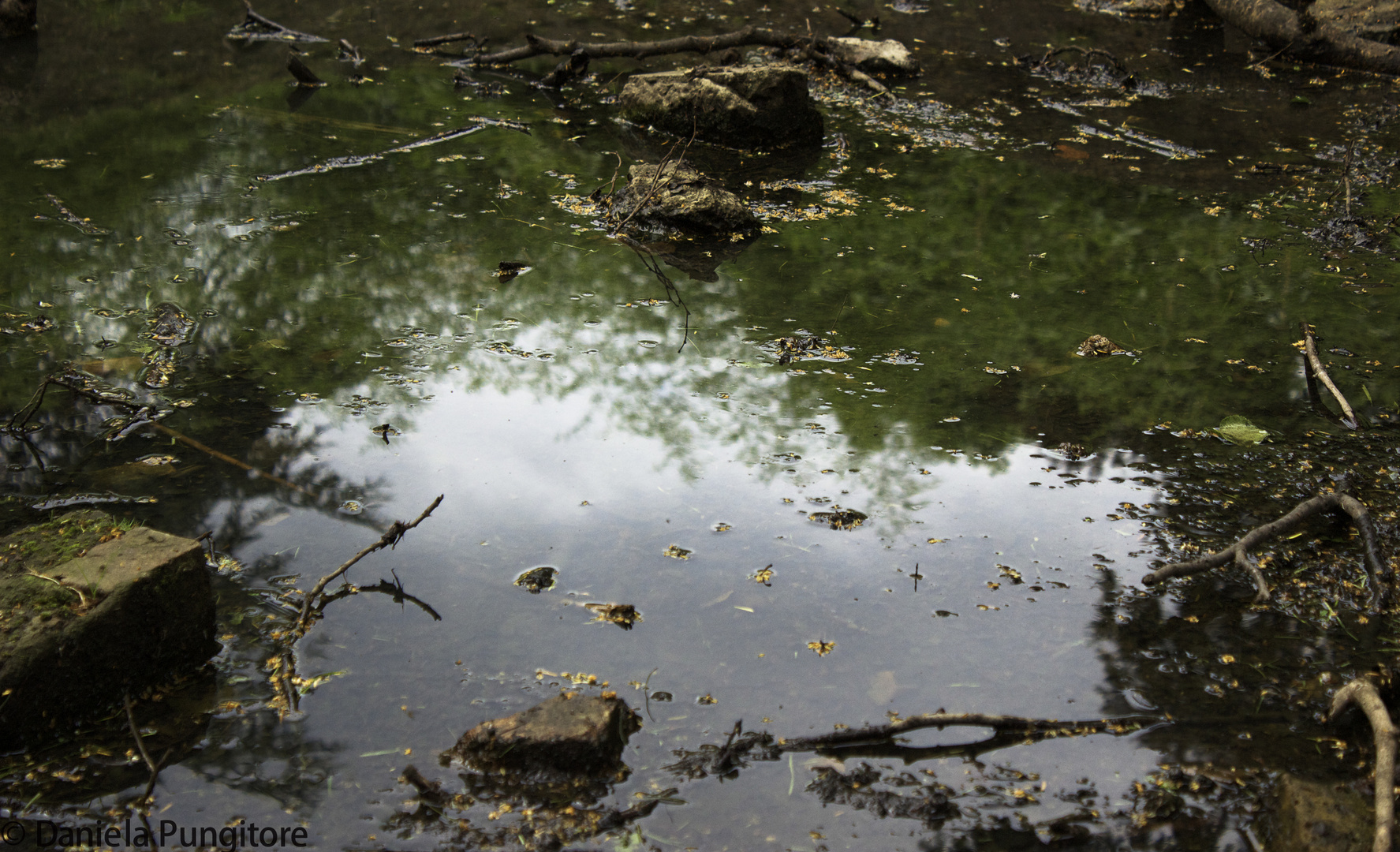 Clouds in the water