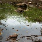 Clouds in the water