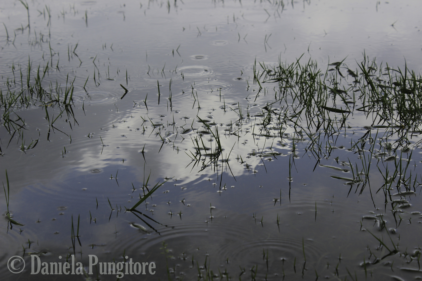 Clouds in the water