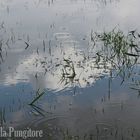 Clouds in the water