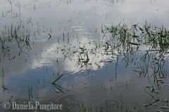 Clouds in the water