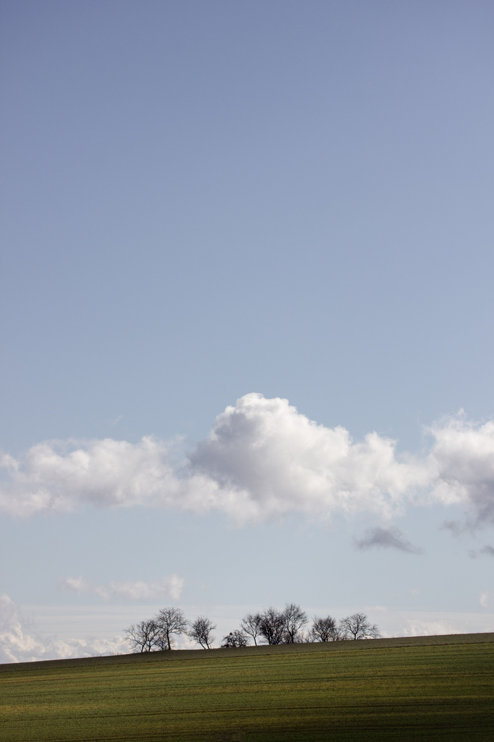 clouds meet wood