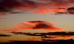 ...clouds of fuerte...