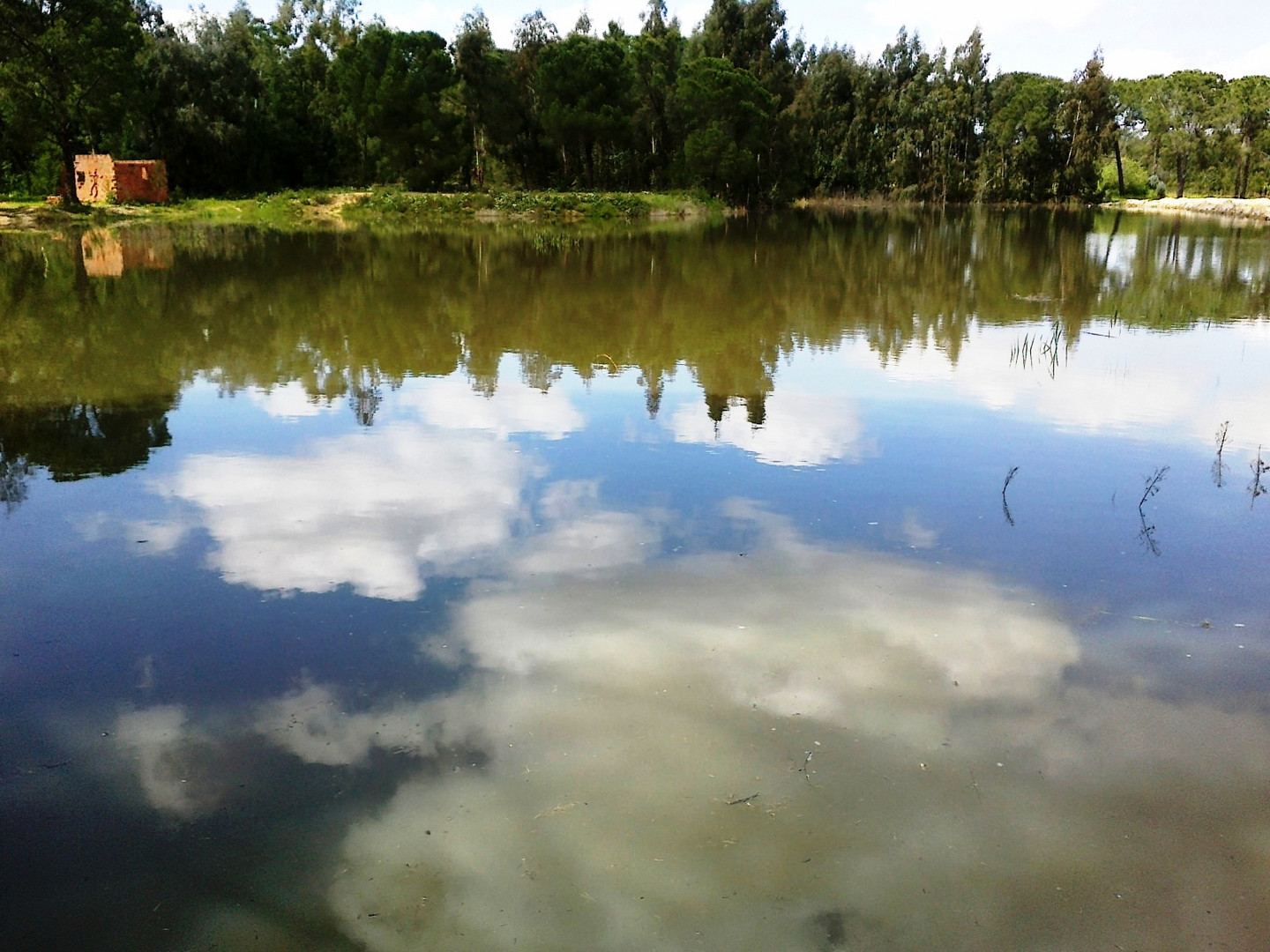 Clouds on mirror