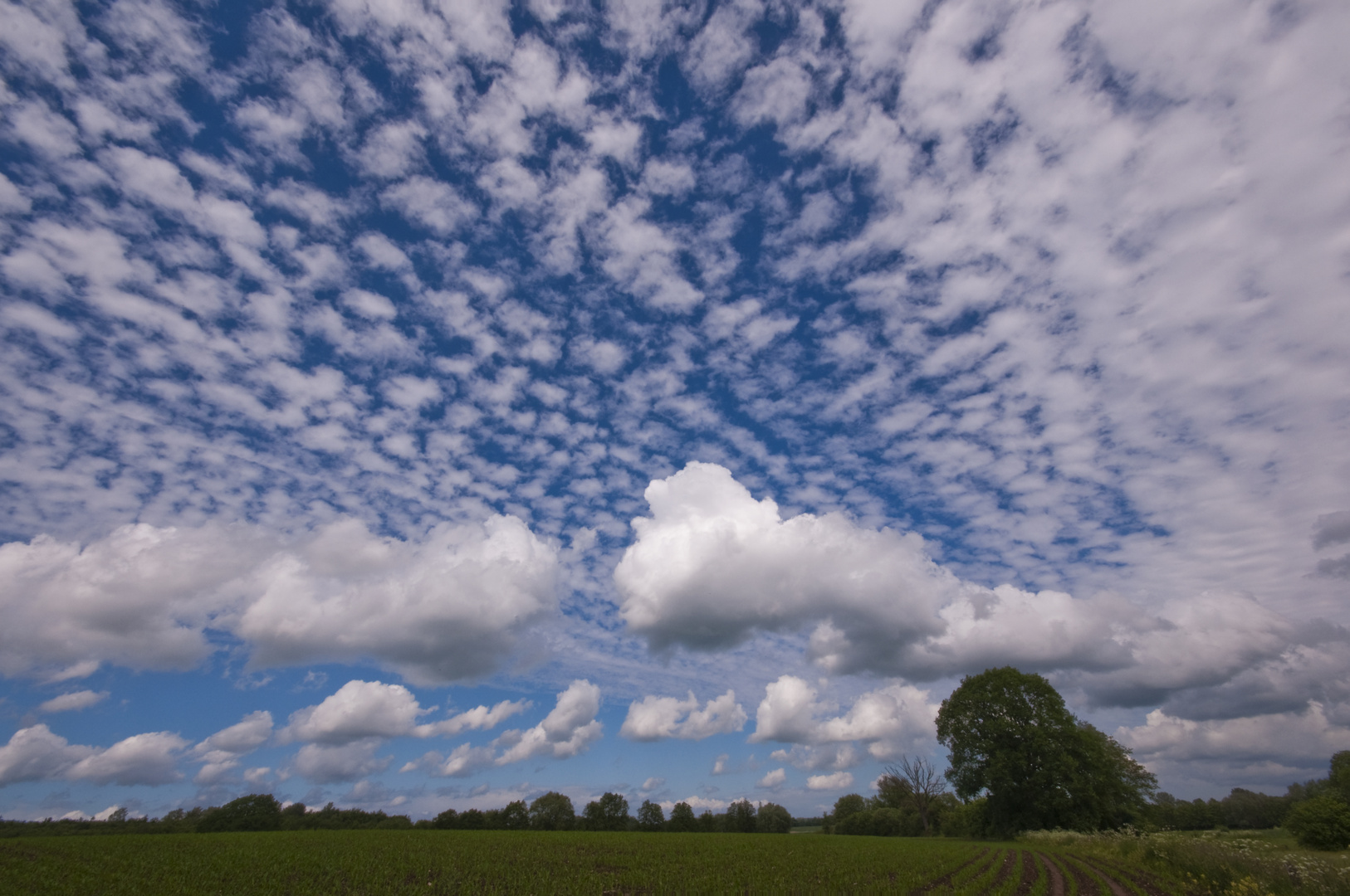 Clouds one by one filled the sky