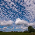 Clouds one by one filled the sky