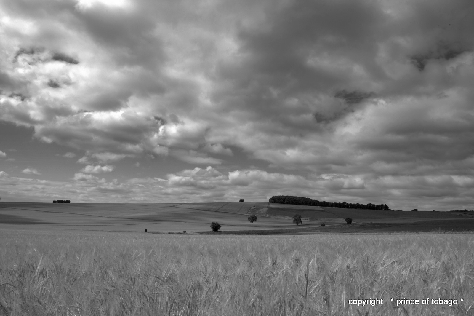 clouds over